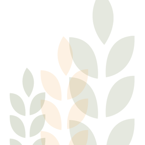 Team Page: Becton Dickinson